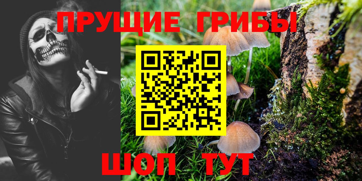 Псилоцибиновые грибы мицелий Лянтор